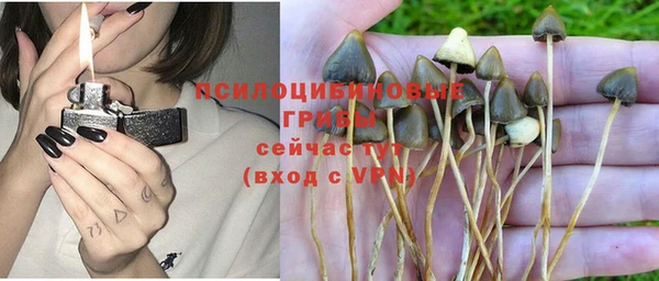 амф Россошь